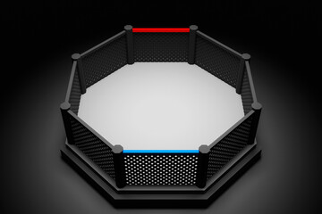 3D illustration  MMA octagon on the light on black background .  Fighting Championship. Fight night.