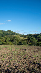 Fototapeta premium landscape with mountains