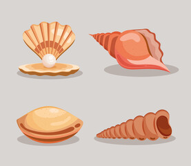 sea shells four icons