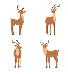 Naklejka na ściany i meble Cute noble sika deer. Set of reindeers with antlers in different poses isolated on white background. Ruminant mammal animal. Vector illustration in flat cartoon style.