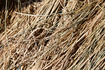干し草