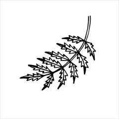 Naklejka premium Hand Drawn Stroke Serrated Leaf. Gagged leaf drawn by hand on a white background.