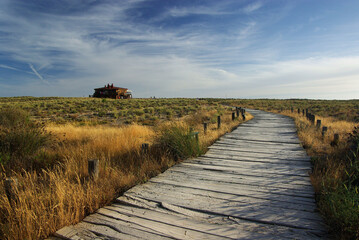 A wooden path crossing the sand dune