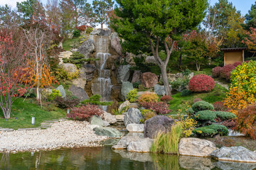 Waterfall and pond in the garden by a huge pine tree in the Japanese-style garden in autumn