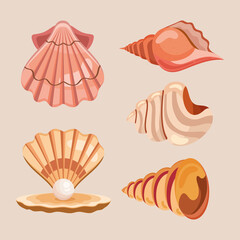 sea shells five icons