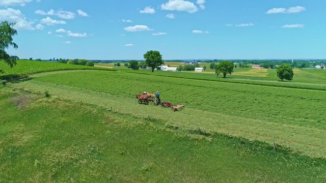 An Aerial View of An Amish Farmer Harvesting His Crops With Three Horses Pulling is Crop Cutter on a Sunny Summer Day