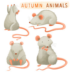 Set of watercolor painted Mouse ,Autumn Animal, Wildlife clipart. Hand drawn isolated on white background