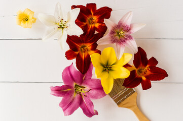 floral creative arrangement. a model of beautiful lilies with a paint brush. the concept of bright paints.