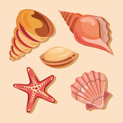 five sea shells icons