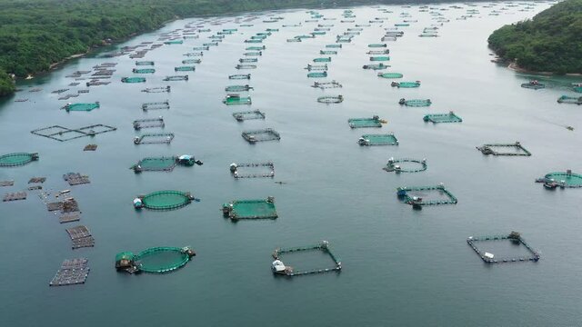 Fisheries on Luzon Island, Philippines. Fish farm, top view. Aerial view of fish ponds for bangus, milkfish.