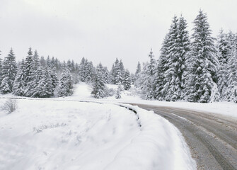 Fototapeta na wymiar Landscape with empty forest road and snow-covered trees after heavy snowfall.