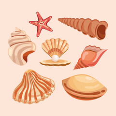 seven sea shells icons