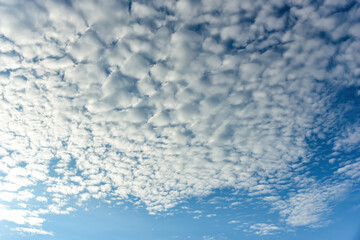 Puffy fluffy white clouds against daytime sky.