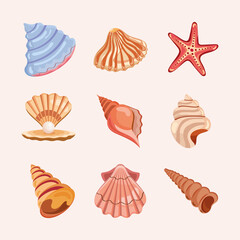 nine sea shells icons