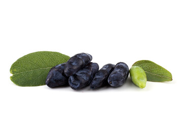 Haskap berries isolated on white
