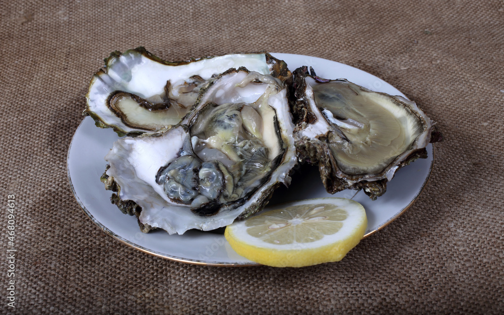 Canvas Prints Oysters on dish