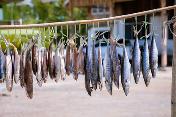 The fishermen took the fish they caught and dried in front of the house
