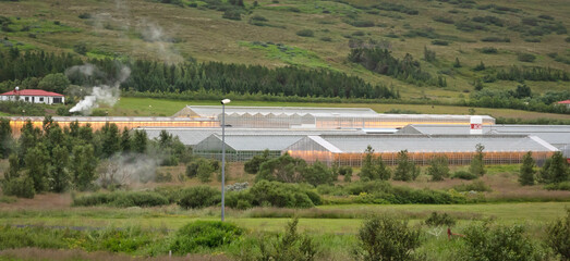 Fototapeta premium Greenhouse in North Iceland