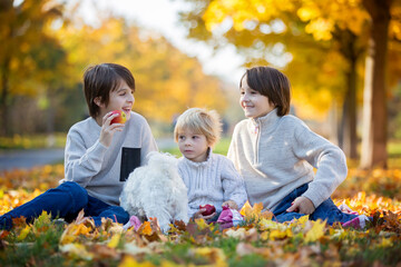 Happy children, playing with pet dog in autumn park on a sunny day