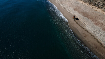 horse on the beach from drone