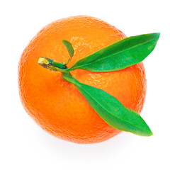 Tangerine or clementine oranges fruits with green leaf isolated on white background.  Fresh picked mandarins Top view. Flat lay.