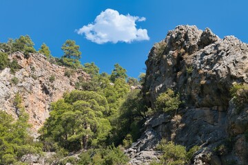 Surroundings near the Goynuk canyon in Turkey