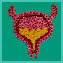 Flower installation of human bladder on green background, concept of bladder health . Part of set...
