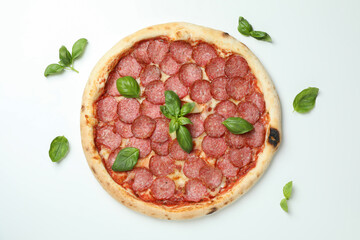 Concept of tasty food with Salami pizza on white background
