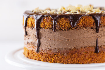 Vegan pumpkin pie with chocolate ganache and nuts on a light background. Sugar, gluten and lactose free.
