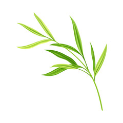Bamboo Foliage and Green Leaf with Stem Vector Illustration