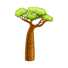 Baobab tree with green foliage, African landscape design element cartoon vector illustration