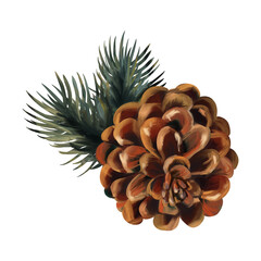 Pine cone on a branch clipart on a white background. Forest
