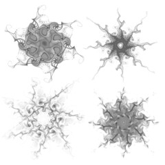 Set of four black snowflakes on a white background. Abstract computer generated fractal image of a snowflake. Illustration, isolate.