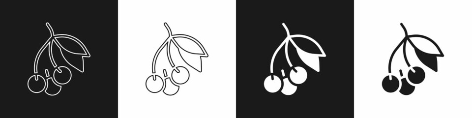 Set Fresh summer berries icon isolated on black and white background. Berry fruit. Vector