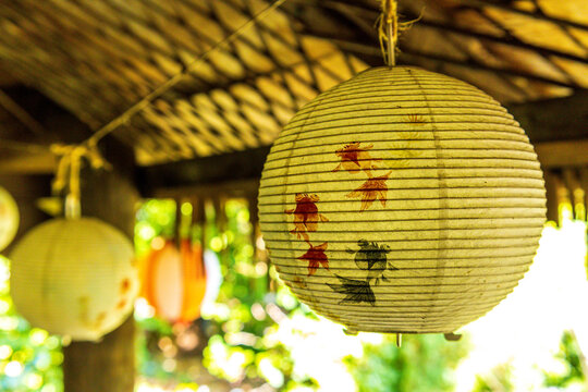 Japanese Style Lanterns