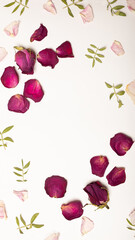 Top view of beautiful rose petals and green leaves on white background. Romatic concept. Copy space