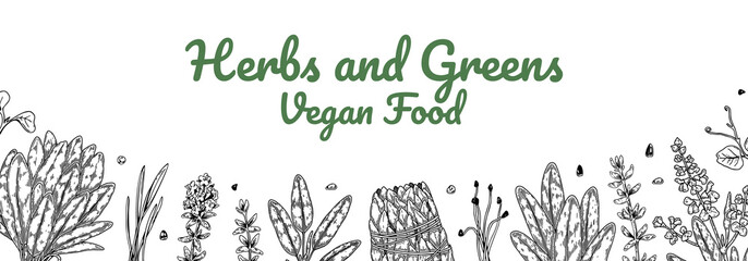 Hand drawn herbs and greens horizontal design. Vector illustration