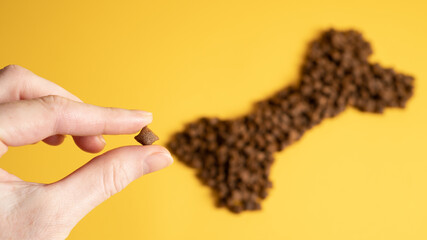 One piece of dogs food on yellow background with the bone for the dog. Advertising image for dog food