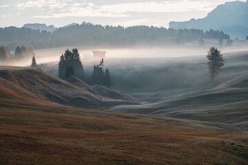 Alpe di Siusi (Seiser Alm) alpine meadow with beautiful foggy sunrise in the background with the...