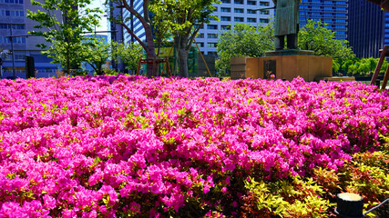 Imperial Palace (Kokyo Gaien) National Garden, Tokyo, Japan