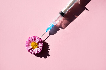 A natural pink flower and a syringe for injection casts a shadow on a pink background. View from...