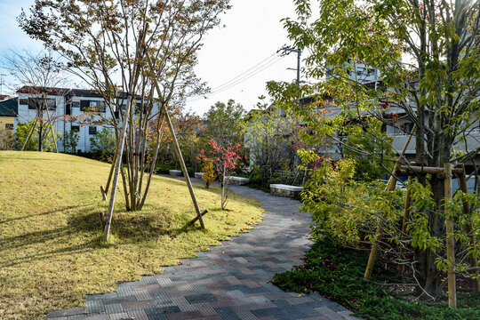 夙川・大手前大学の新校舎と校庭の植物