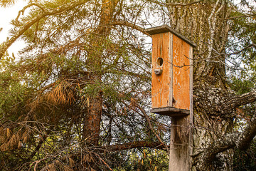 the birdhouse is hanging on a tree