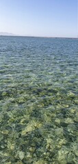 Beautiful seascape in Egypt. Clear sea and blue sky. Calm at sea. Rest on the Red Sea in Egypt.