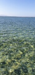 Beautiful seascape in Egypt. Clear sea and blue sky. Calm at sea. Rest on the Red Sea in Egypt.