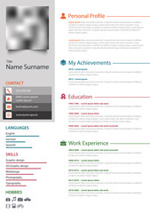 Professional personal resume cv with colored stripes on white background