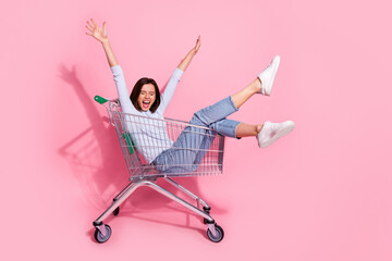 Photo of funny excited young woman wear white sweater screaming riding shopping cart rising arms...