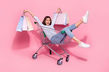 Photo of cute excited young woman wear white sweater sitting shopping cart holding bargains smiling...