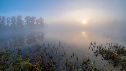 morning mist on the river