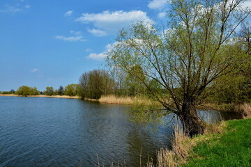 Fototapeta na wymiar Czech Republic - view of the pond Strasov